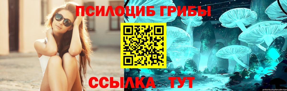 Уссурийск  Галлюциногенные грибы прущие грибы  Псилоцибиновые грибы MAGIC MUSHROOMS  Вход с VPN 